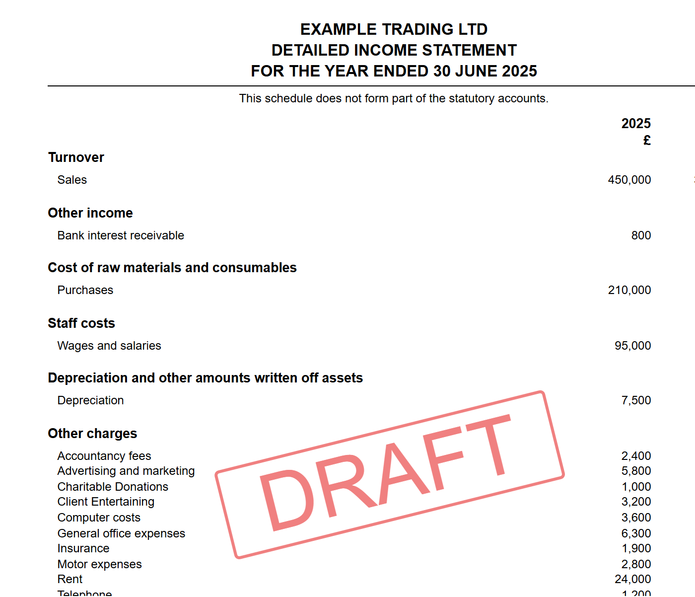 The detailed income statement page in the full accounts