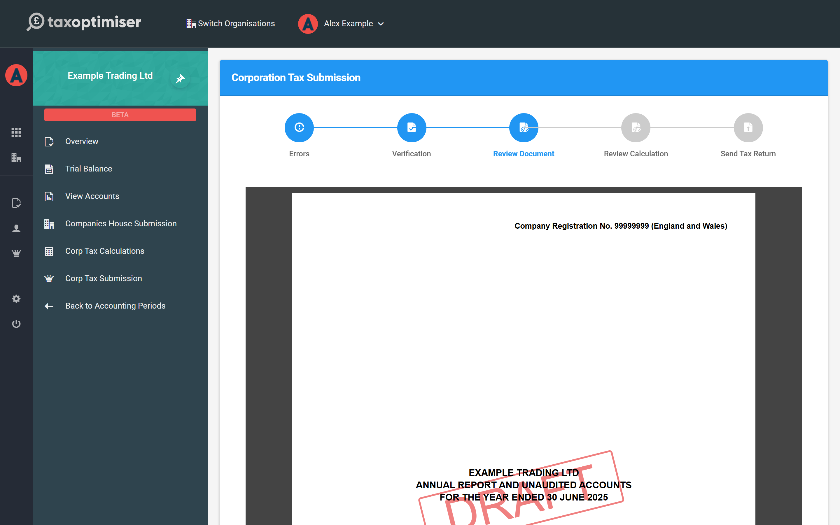 The review document step showing the final accounts embedded in the wizard